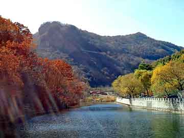 新澳天天开奖资料大全旅游团，液氯